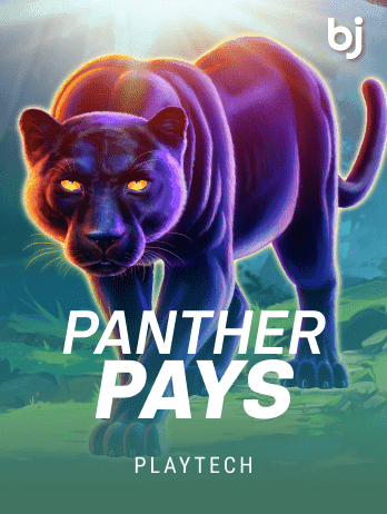 Panther Payspng icon